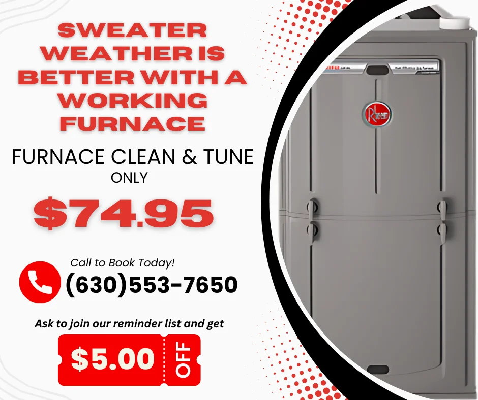 Happy Birthday David & Bo! (4)